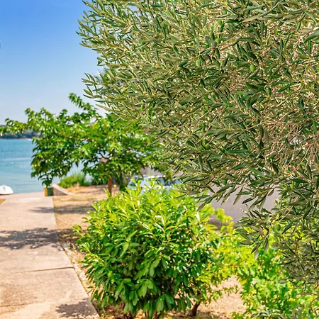 Obalkpkresimira Iv Ii Ferienhaus Betina (Sibenik-Knin)