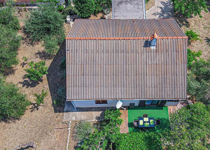 Obalkpkresimira Iv Ii * 베티나